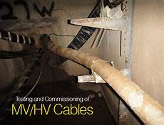 Image Transmission Cables