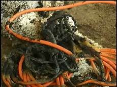 Extension Cables