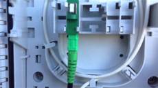 Fiber Cable